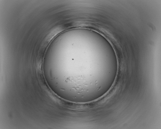 X0000115821273200911131437