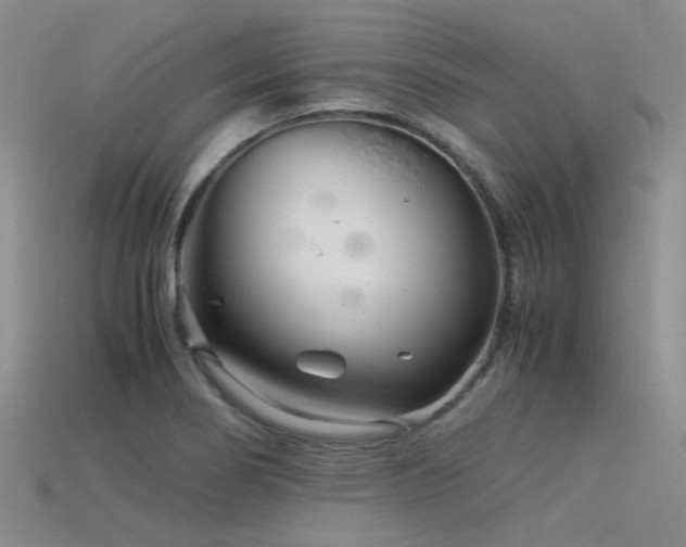 X0000115821274200911131437