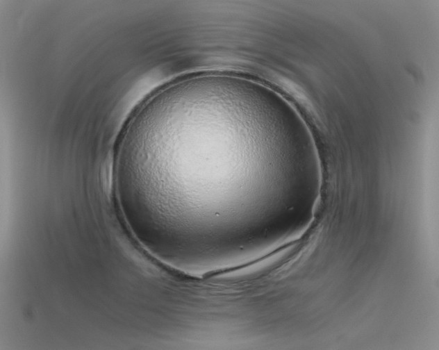 X0000115821275200911131437