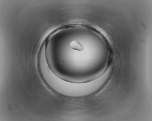 X0000115821277200911131437