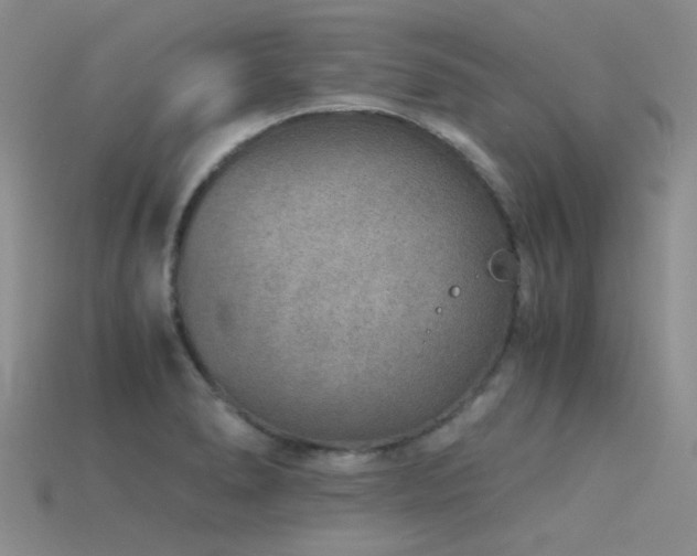 X0000115821278200911131437