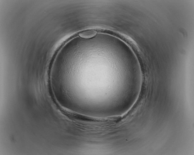 X0000115821279200911131437