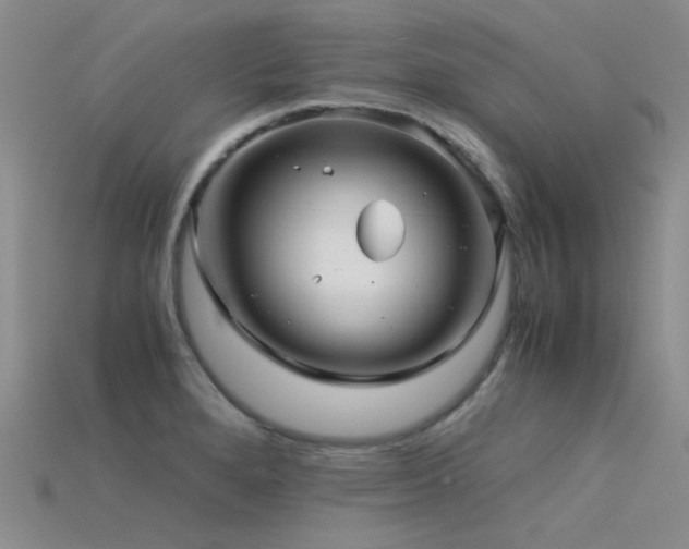 X0000115821280200911131437