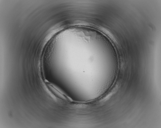 X0000115821282200911131437