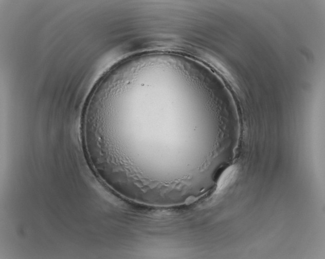 X0000115821283200911131437