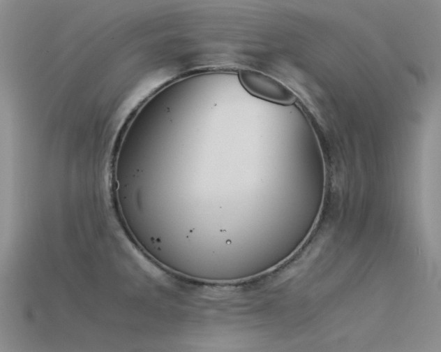 X0000115821285200911131437