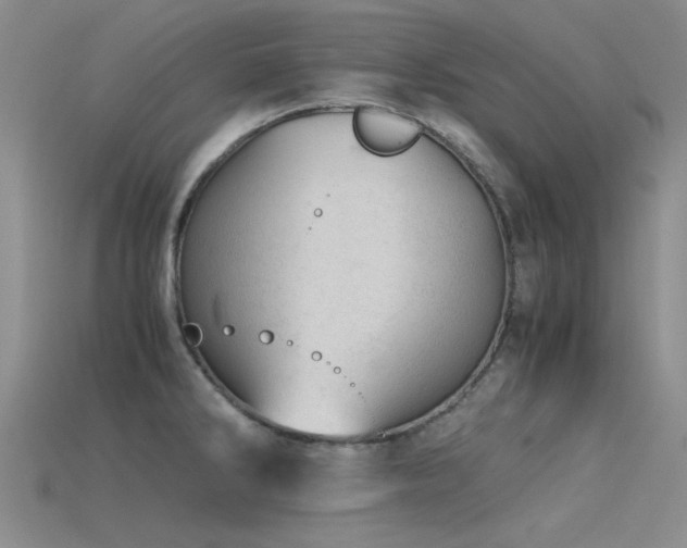 X0000115821286200911131437