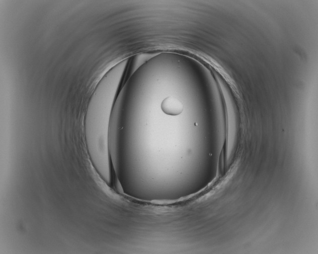 X0000115821289200911131437