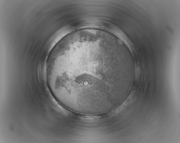 X0000115821290200911131437