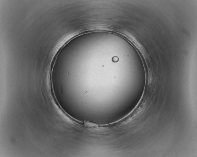 X0000115821293200911131437