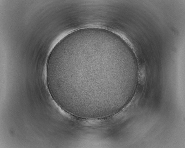 X0000115821294200911131437