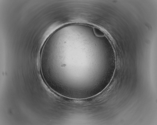 X0000115821295200911131437