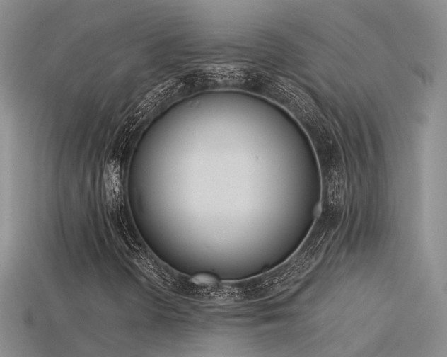 X0000115821298200911131436