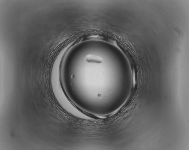 X0000115821301200911131436