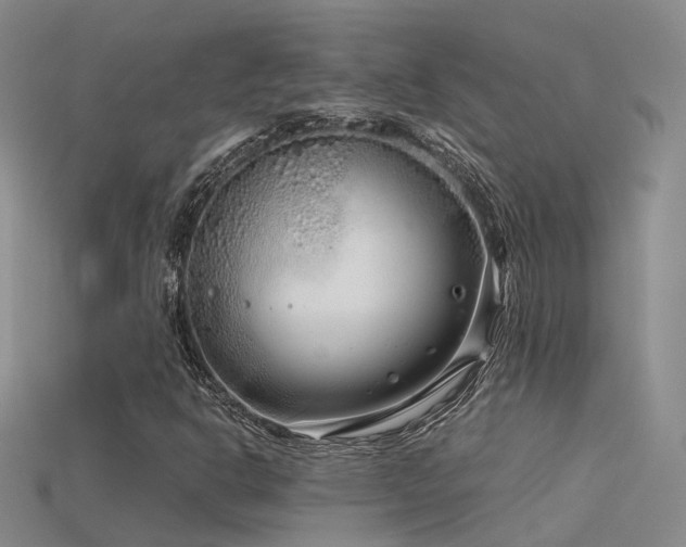 X0000115821302200911131436