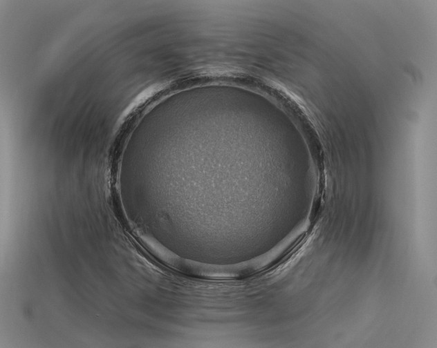 X0000115821306200911131436