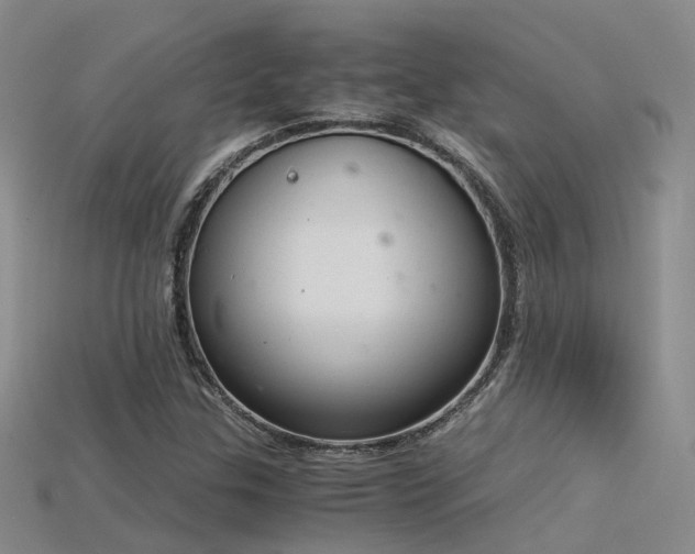 X0000115821307200911131436