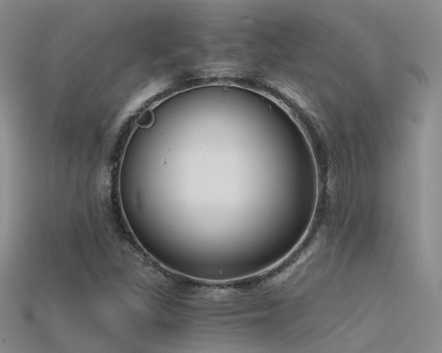 X0000115821309200911131436