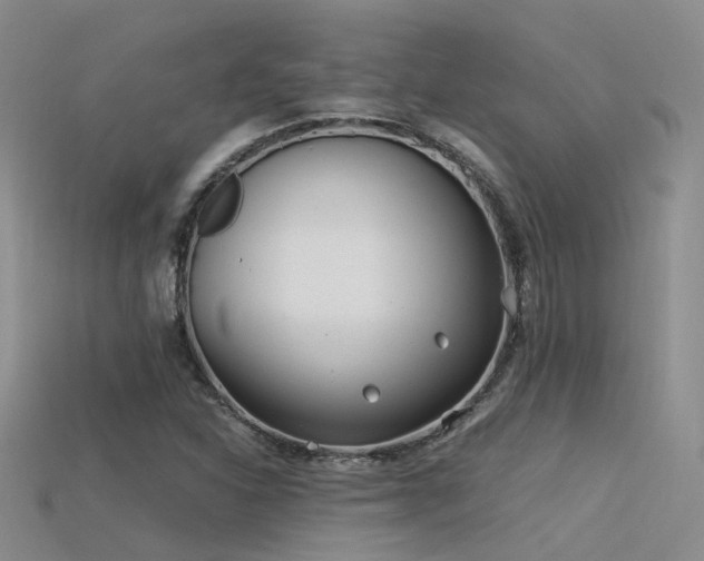 X0000115821310200911131436