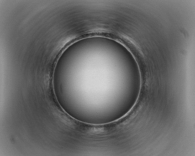 X0000115821313200911131436