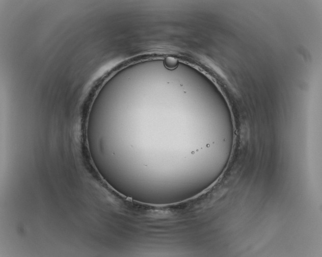 X0000115821315200911131436