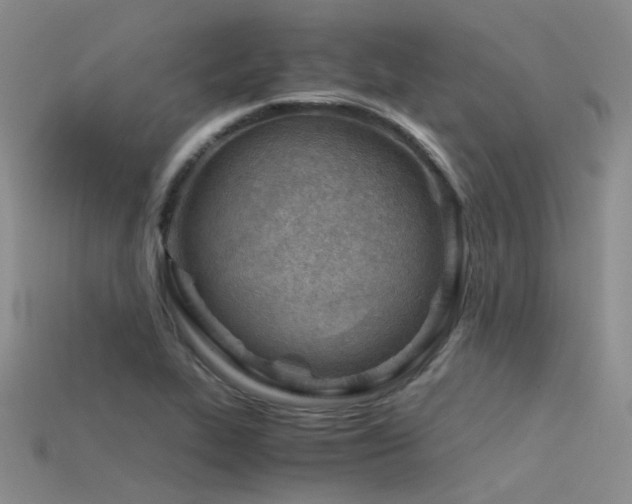 X0000115821319200911131436