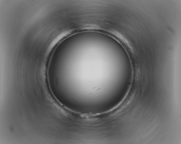 X0000115821325200911131436