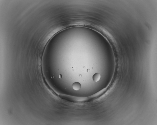 X0000115821329200911131437