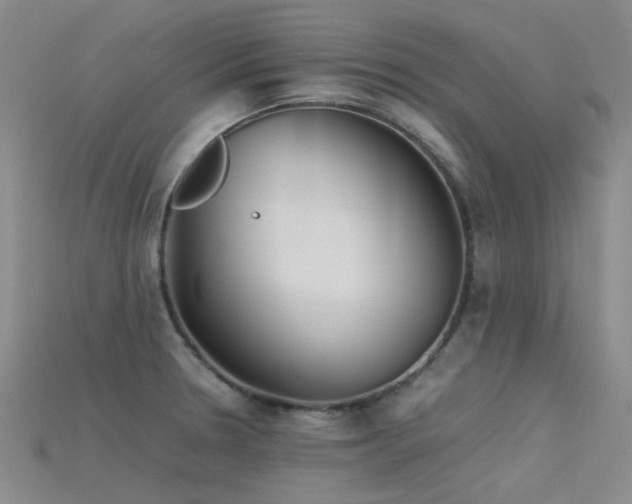 X0000115821330200911131437