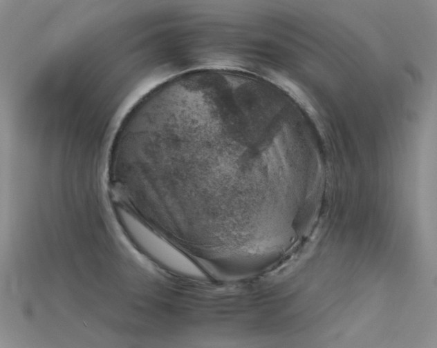 X0000115821331200911131437