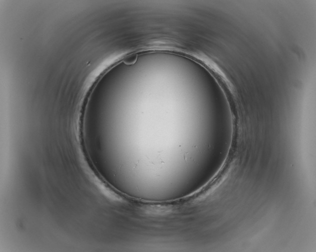 X0000115821333200911131437