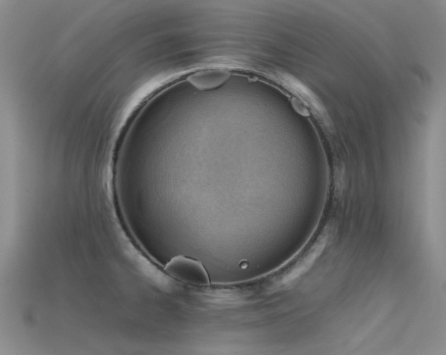 X0000115821334200911131437