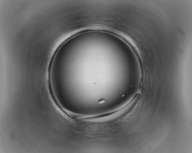 X0000115821335200911131437