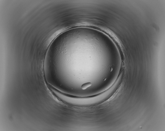 X0000115821337200911131437