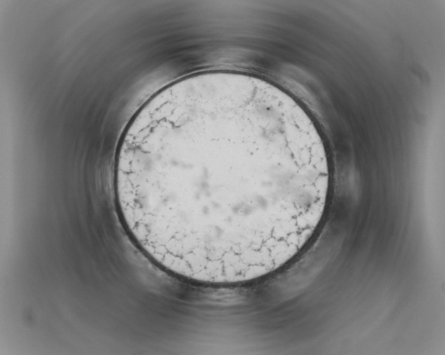 X0000115821338200911131437