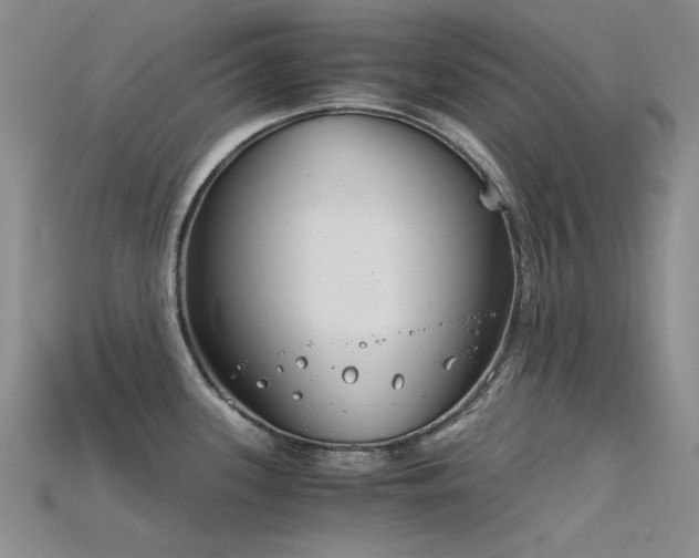 X0000115821339200911131437