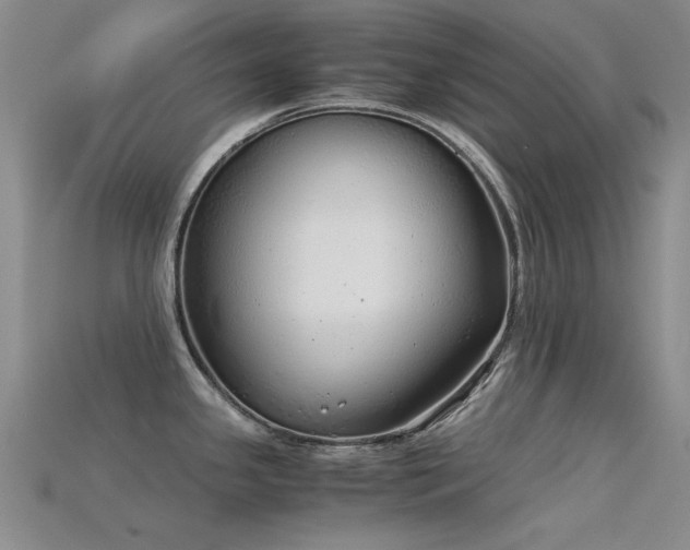 X0000115821341200911131437