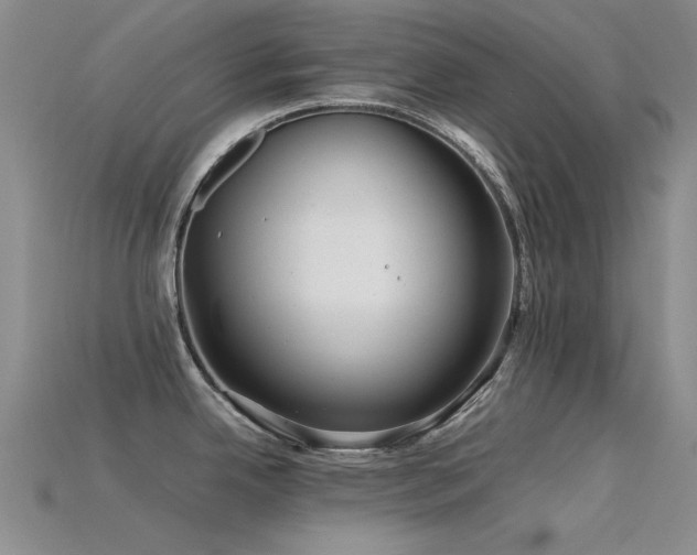 X0000115821342200911131437