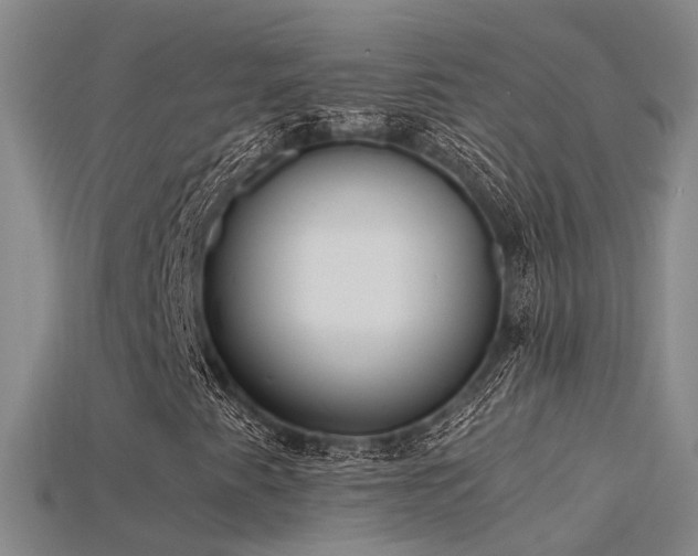 X0000115821345200911131436