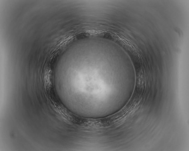 X0000115821346200911131436