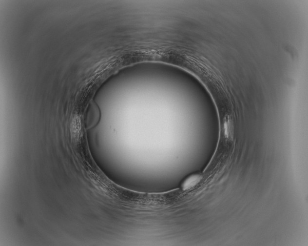 X0000115821347200911131436