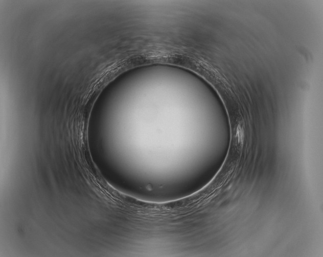 X0000115821348200911131436