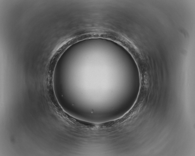 X0000115821352200911131436