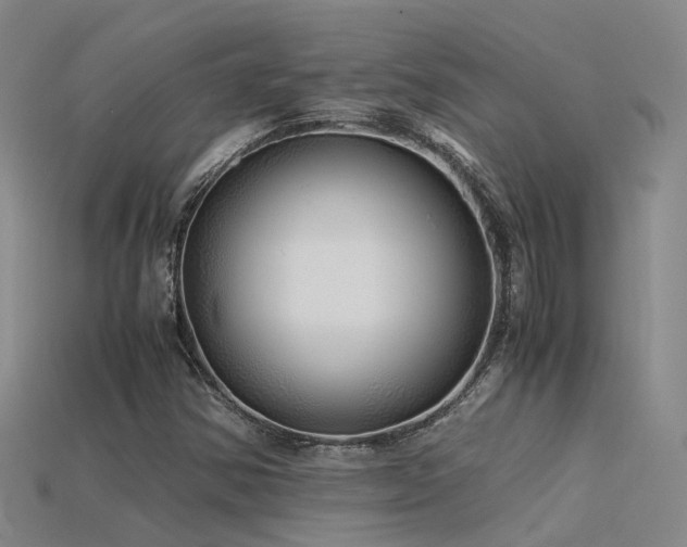 X0000115821354200911131436