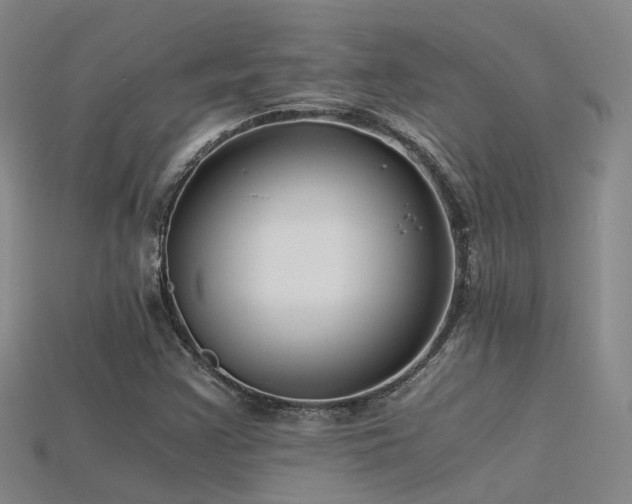 X0000115821355200911131436