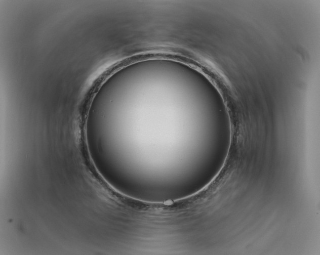 X0000115821360200911131436