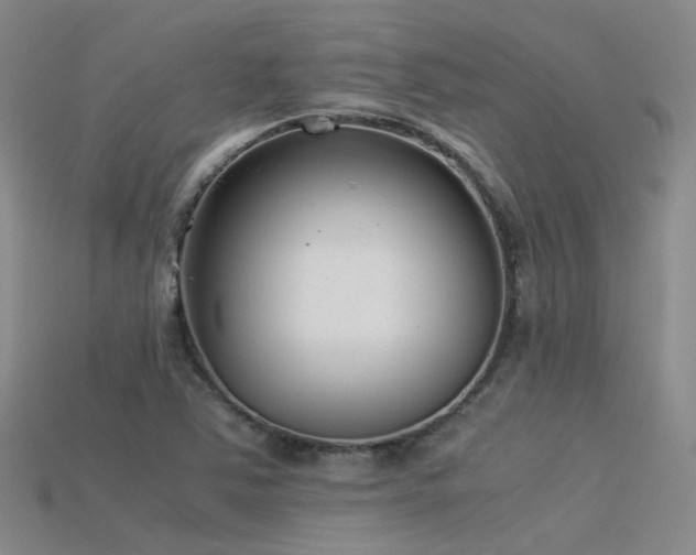 X0000115821363200911131436