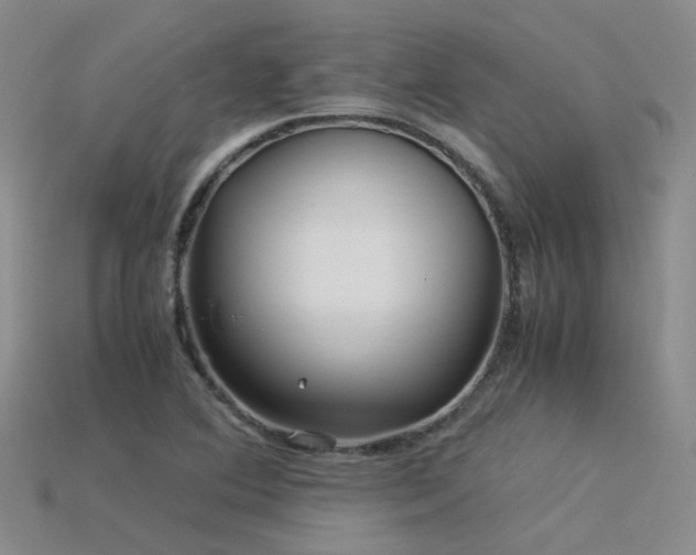 X0000115821364200911131436