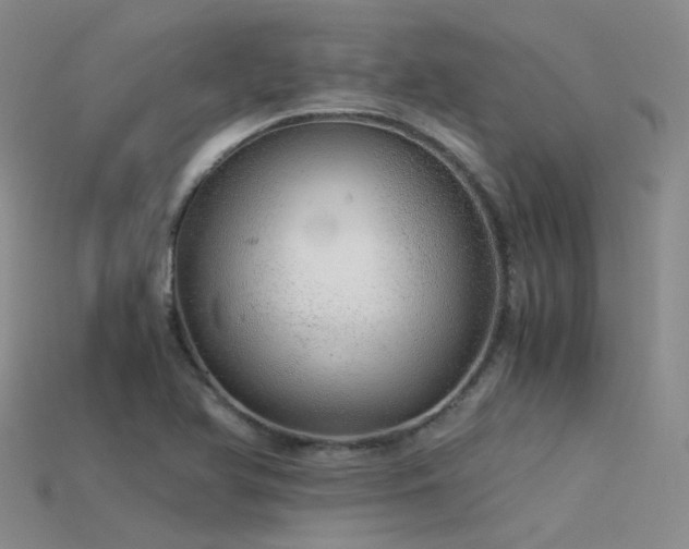 X0000115821366200911131436