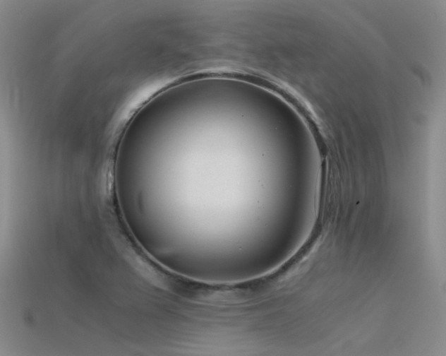 X0000115821367200911131436